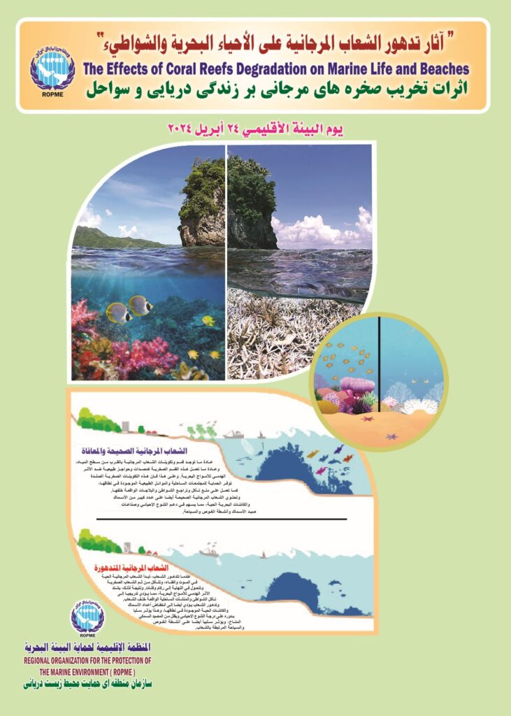 2024 Environment Day of the Region