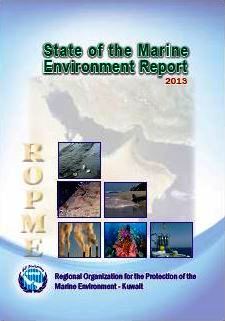 SOMER 2013 Full Report