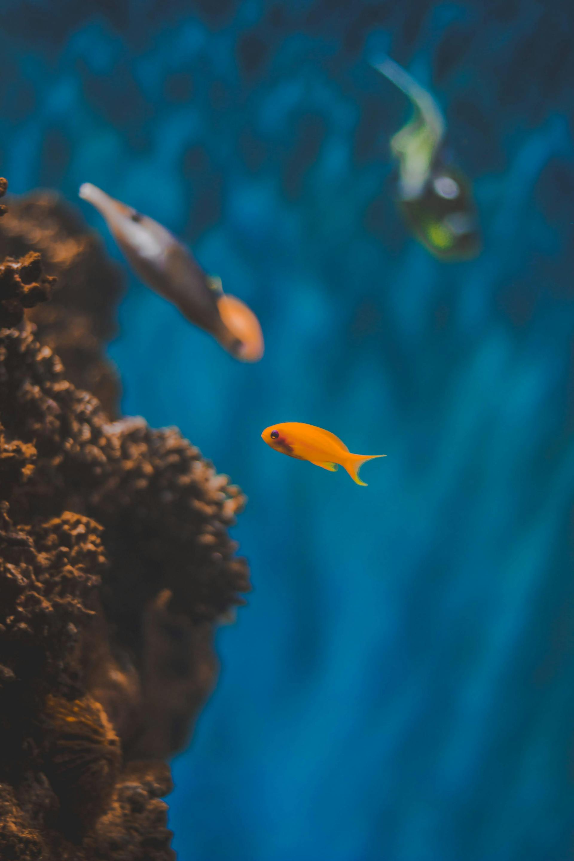 Youth Program Launched for Marine Awareness