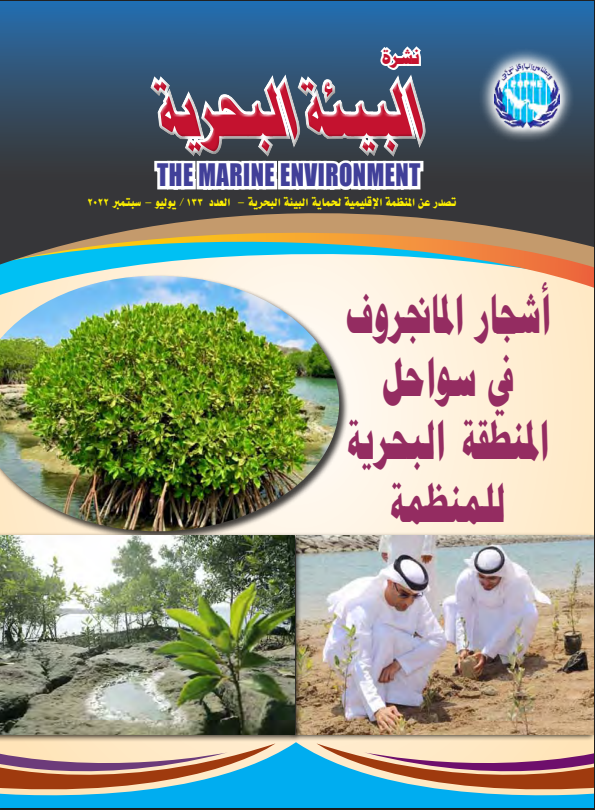 Mangrove trees in the coastal marine area of ​​the organization