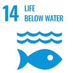 ۱۴ زندگی زیر آب