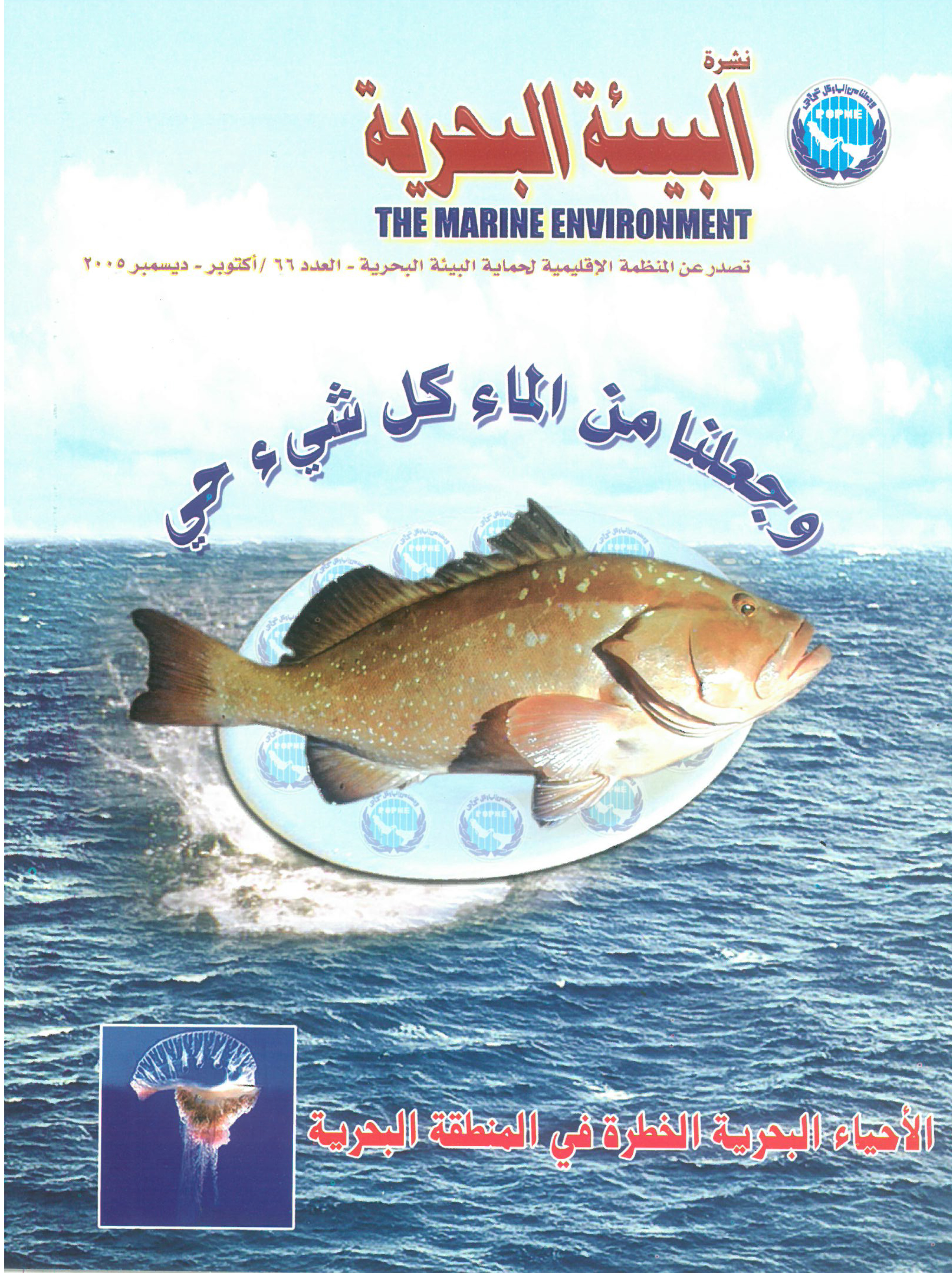 Newsletter 66 of the Regional Organization for the Protection of the Marine Environment