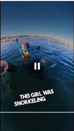 This manatee started hugging her while snorkeling ❤️